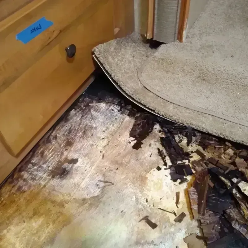 Wood Floor Water Damage in North Logan, UT